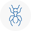 Ant Removals In Gloucestershire