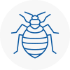 Bed Bug Extermination In Gloucestershire