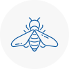 Bee Nest Removal Gloucestershire