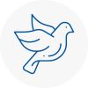 Bird Prevention Gloucestershire