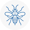 Gloucestershire Hornet Nest Removals