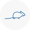 Mice Exterminators In Gloucestershire