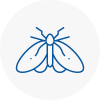 Moth Control Specialists In Gloucestershire