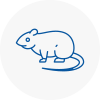 Rat Control Gloucestershire