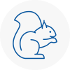 Gloucestershire Rodent Removals